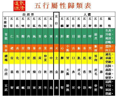 五金屬性|單元1 五行體質屬性查詢表